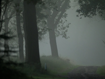 Schemerwandeling voor kinderen, landgoed Staverden