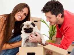 Nieuws de Hypotheker Ermelo: Nieuwe kansen voor starters op de woningmarkt