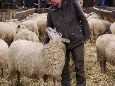 Lammertijd in Ermelo begint bijna 