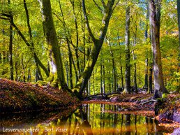 Watercafé Water Natuurlijk Vallei en Veluwe