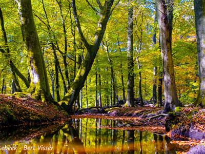 Watercafé Water Natuurlijk Vallei en Veluwe 