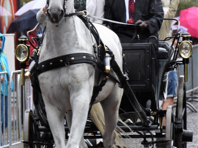 Ringrijderij in Ermelo