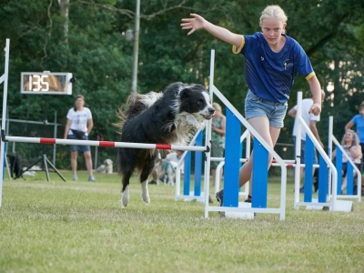 Leuke nieuwe cursussen bij Kynologenclub Noord-West Veluwe