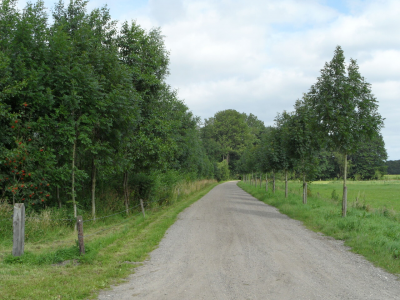 Een stap vooruit in de gebiedsvisie voor het oostelijk buitengebied Ermelo