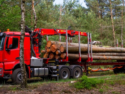 Beelen Transport en Houthandel onderweg met alleskunner AROCS 6x4