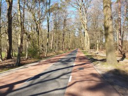 Vernieuwing fietspaden Leuvenumsebos