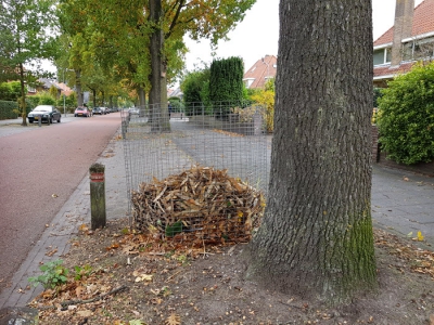 Bladkorven voor blad van gemeentebomen