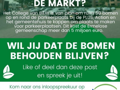 Like jij de bomen op de Markt in Ermelo?