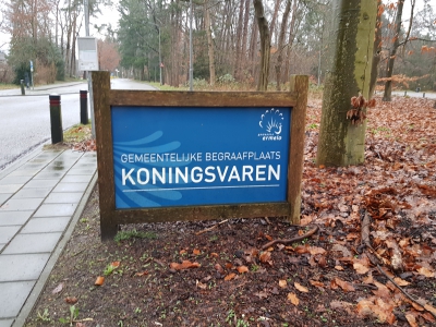 Ruiming van algemene graven op begraafplaats Koningsvaren in Ermelo