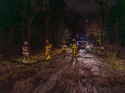 Stormschade op de Eendenparkweg