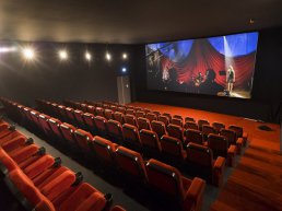 Filmoverzicht Kok CinemaxX Harderwijk en Lelystad 15 februari tot en met 21 februari 2024