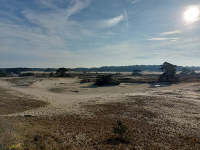 Broedseizoen van start op het Hulshorsterzand