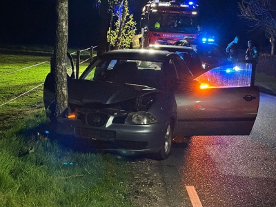 Auto botst tegen boom in Ermelo