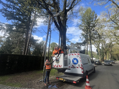 Grootschalige vervanging openbare verlichting afgerond in Ermelo