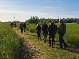 Vogelexcursie Oostvaardersplassen