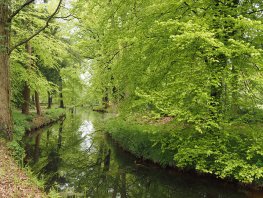 Beekdal van Staverden, landgoed Staverden