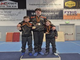 Turners uit Ermelo nemen flink prijzen mee naar Ermelo