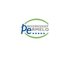 Onderzoek Progressief Ermelo mbt zondagopenstelling winkels: inwoners Ermelo verdeeld, Action wil graag open