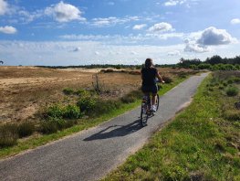 Trap je mee? Ontdek de Veluwe tijdens de Veluwse Fietsdagen op 18, 19 en 20 september 2025!	