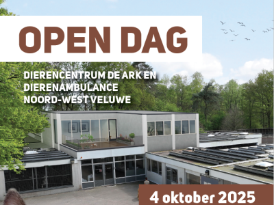 Open dag bij geheel vernieuwd Dierencentrum de Ark 