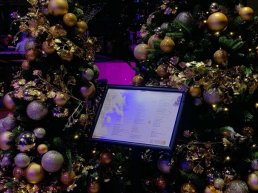 Tweede Kerstdag bij Kok Experience