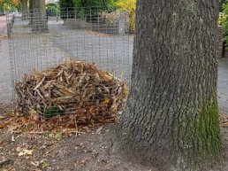 De bladkorven komen er aan in de gemeente Ermelo