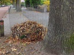 Bladkorven worden weggehaald