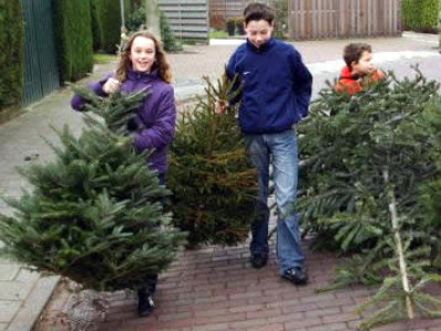 Lever kerstbomen in en verdien &euro; 0,50 per boom