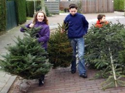 Lever kerstbomen in en verdien &euro; 0,50 per boom