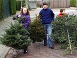 Lever kerstbomen in en verdien &euro; 0,50 per boom