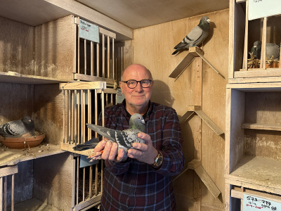 Cor den Ouden uit Harderwijk met duif Olympic Queen Max naar Olympiade: &ldquo;Een treffer&rdquo;