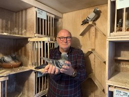 Cor den Ouden uit Harderwijk met duif Olympic Queen Max naar Olympiade: &ldquo;Een treffer&rdquo;