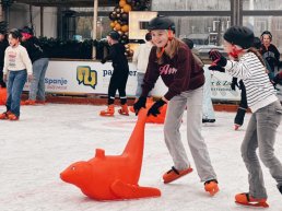 Van den Brink Onroerend Goed stopt als hoofdsponsor schoolschaatsen in Ermelo &lsquo;Als de politiek zich ermee bemoeit, is het ons ding niet meer&rsquo;