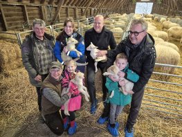 Geboorte en adoptie eerste lammetjes bij Stichting Schapedrift 