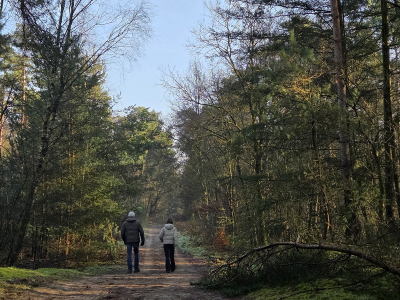 Veluwse Wandeldagen &ndash; 19, 20 en 21 februari 2026