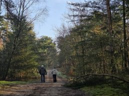 Veluwse Wandeldagen &ndash; 19, 20 en 21 februari 2026