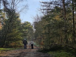 Veluwse Wandeldagen &ndash; 19, 20 en 21 februari 2026
