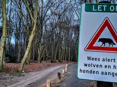 Wees alert op wolven en houd honden aangelijnd
