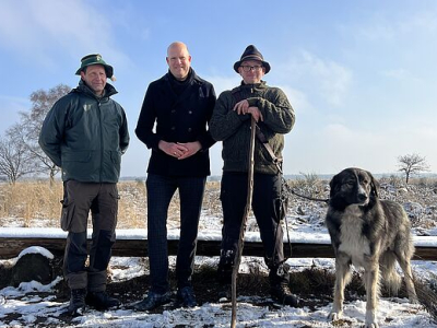 Schaapskudde op Houtdorper- en Speulderveld