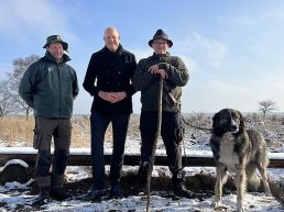 Schaapskudde op Houtdorper- en Speulderveld