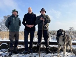 Schaapskudde op Houtdorper- en Speulderveld