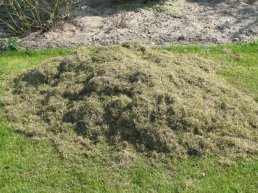 Gratis compost afhalen