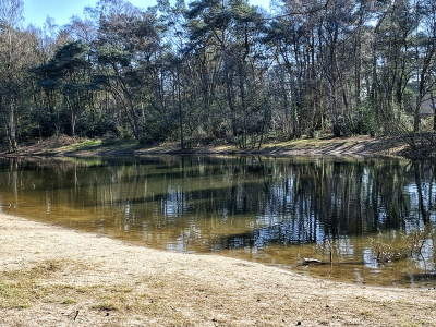 De Plas van Van Beek