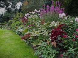 3 seizoenen open tuinenroute 