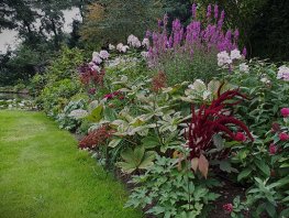 3 seizoenen open tuinenroute 