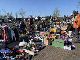 Voorjaarsmarkt Ermelo-West: gezelligheid, koopjes en stekjes ruilen!