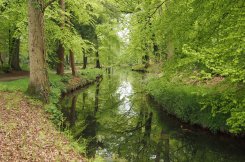 Het beekdal van Staverden, landgoed Staverden