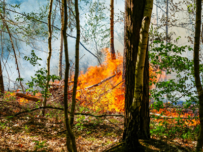 Progressief Ermelo pleit voor aanscherping droogteprotocollen Defensie naar aanleiding van natuurbranden