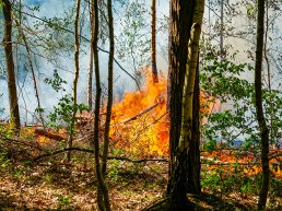 Progressief Ermelo pleit voor aanscherping droogteprotocollen Defensie naar aanleiding van natuurbranden