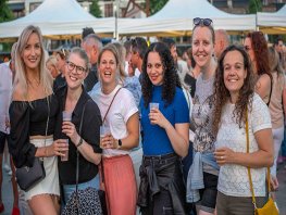 Programma Aaltjesdagen 2026 Harderwijk